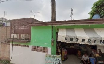 VETERINARIA POTRILLO