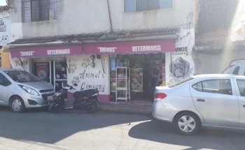 JULIO CESAR RODRIGUEZ MELENDEZ