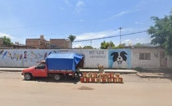 Tails of Mexico cliy