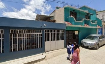 Entre perros y gatos