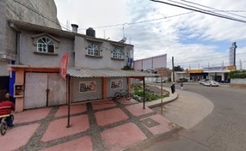 Veterinario El Arco Animals