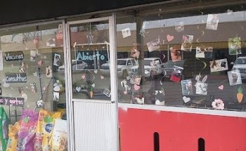 Veterinaria Pet Bones