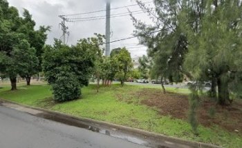 Ana Belen Flores Baron