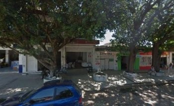 Veterinaria vida sana