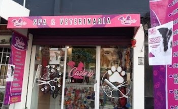 Casbrio spa & veterinaria