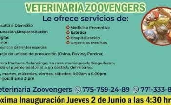 Veterinaria Zoovengers
