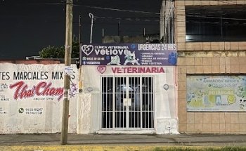 Clinica Veterinaria VETLOVE