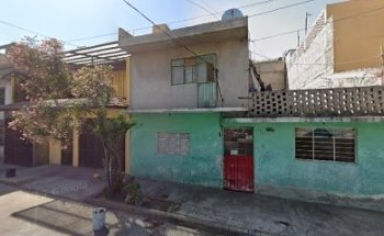 Estética Canina Spyke