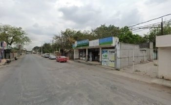 El Reino Veterinario Suc Tamuin