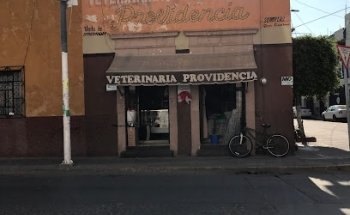 Veterinaria Providencia