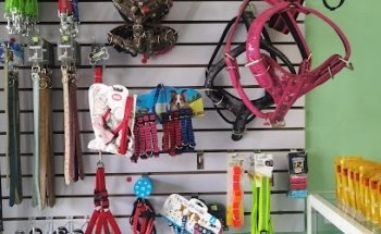 Clinica Veterinaria CliniPet's Indeco