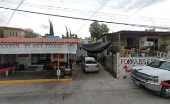 Veterinaria ANIMALITOS