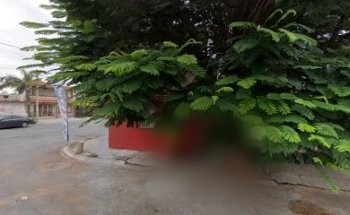 Veterinaria Linda Vista