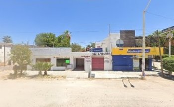 Clínica Veterinaria GALE chametla