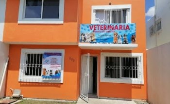Veterinaria Consulpet