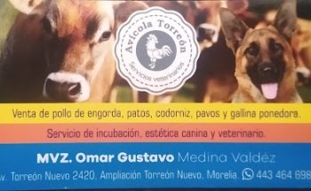 Veterinaria torreón