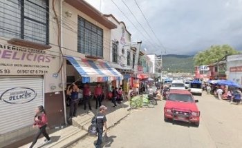 MAYOREO VETERINARIO THIELMANS