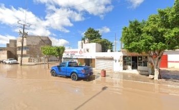 Veterinaria El Cardenal