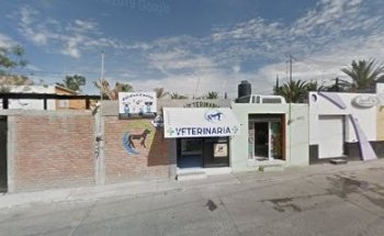 SEVSA SERVICIOS VETERINARIOS