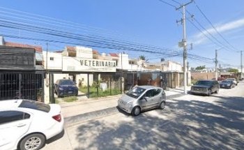 Hospital Veterinario de Occidente