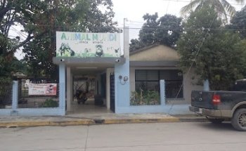 CLINICA VETERINARIA ANIMAL MUNDI