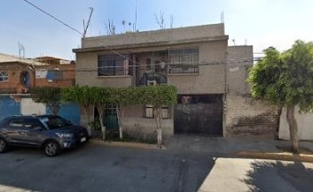 Veterinaria Kn Kn Canino