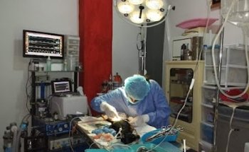 Clínica Veterinaria 