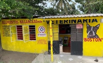 Veterinaria Boston