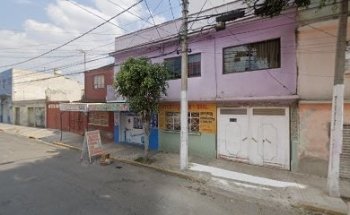 Estética Canina Sadday