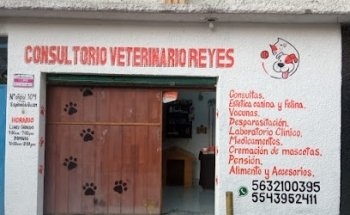 CONSULTORIO VETERINARIO REYES