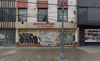 Perritos En Lineacom