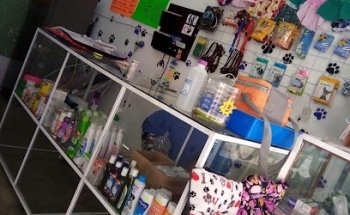 Asistencia Veterinaria 