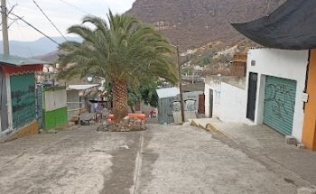 Servicios veterinarios