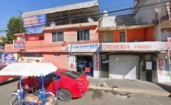 veterinaria animal planet