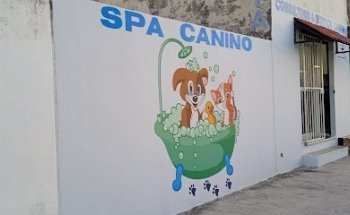 SPA Canino
