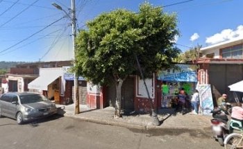 Veterinario y Dispensario