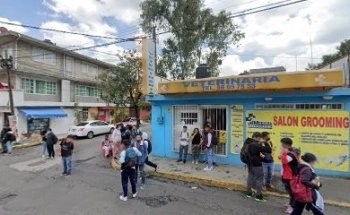 Venta de Gelipet en Vet. Medicel