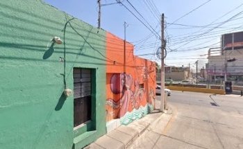 PEQUEÑO MUNDO ANIMAL