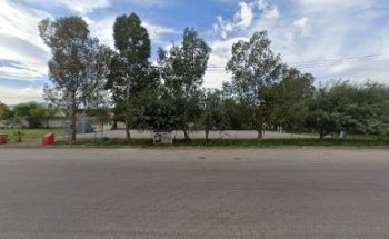 VETCAM Clinica Veterinaria