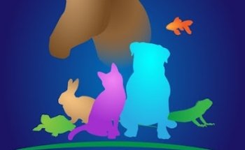 Spa kanino & mascotas