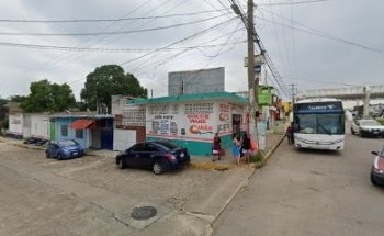 Clínica veterinaria central canino