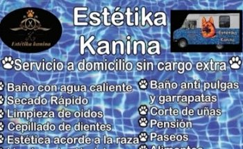 Estétika Kanina