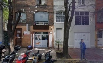 Venta de Gelipet en Veterinaria Granada