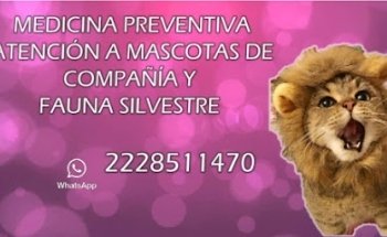 Servicios Médicos Veterinarios Marisol Parra