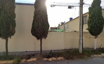 Mi Familia Mi Mascota