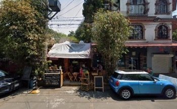 Estética Veterinaria