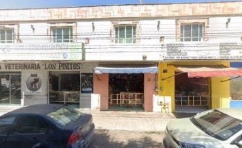 Mariscal Zaragoza Maria Martha