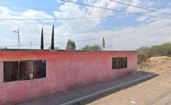 Refugio Canino Peludos Nice Querétaro