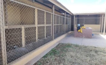 Centro Antirrabico Nuevo Casas Grandes