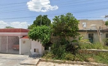 Frankie Vet consultorio veterinario